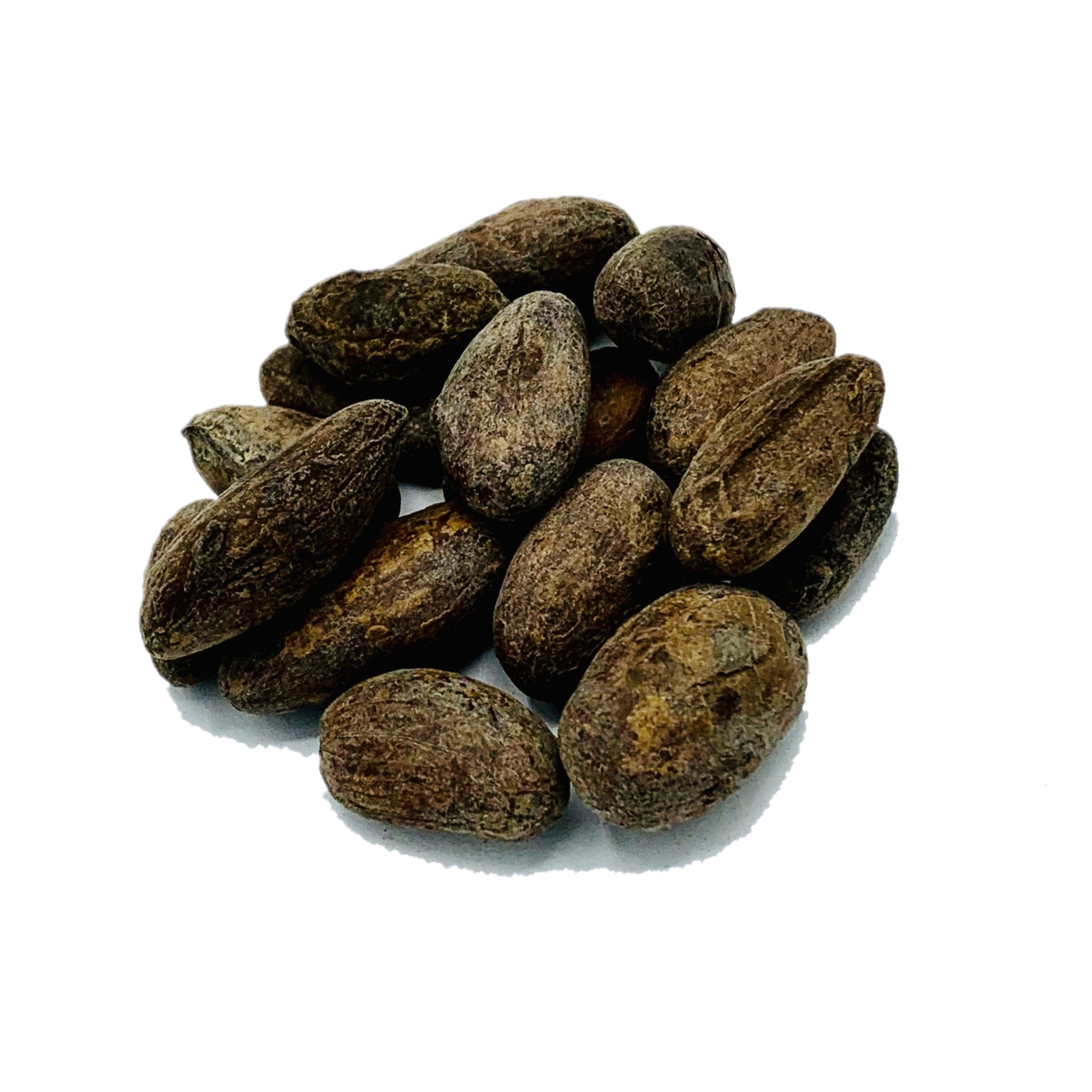 Semilla de cacao - O Colmado da Vila