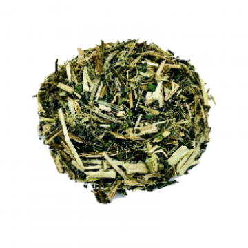 Ortiga verde