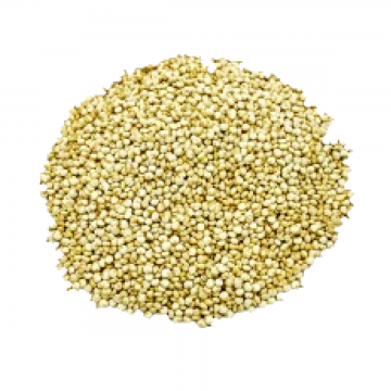 Semilla de quinoa blanca