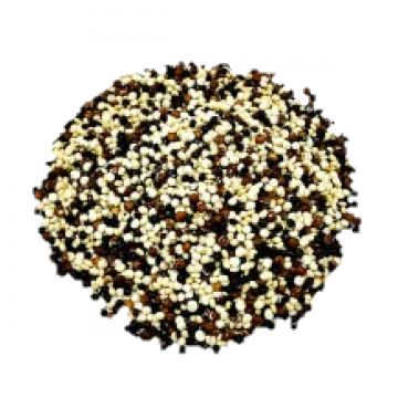 Semilla de quinoa tricolor