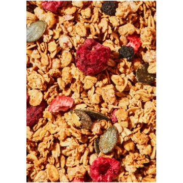 Granola Crujiente con Bayas