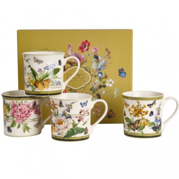Set Rhapsody 4 Servicios