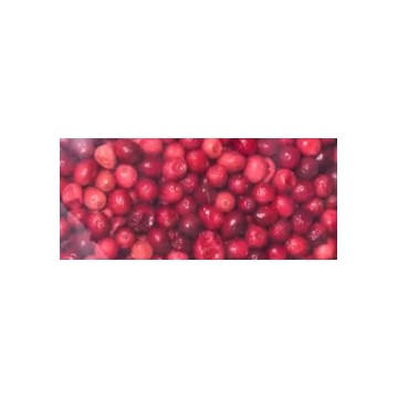 Arándanos Rojos Liofilizados